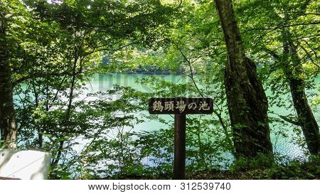 Juniko Twelve Lakes In The Shirakami-sanchi Mountainous Area. A Unesco World Heritage Site In The To