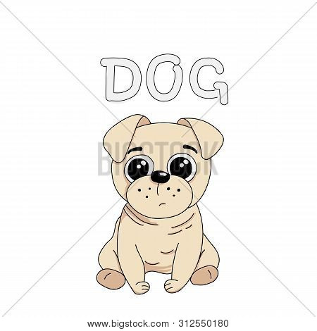 Cute Dog Pug Breed Drawn Vector Illustration With The Words Dog