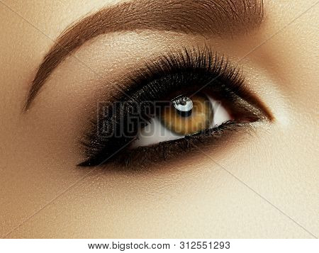 Beautiful Macro Shot Of Female Eye With Extreme Long Eyelashes And Black Liner Makeup. Perfect Shape