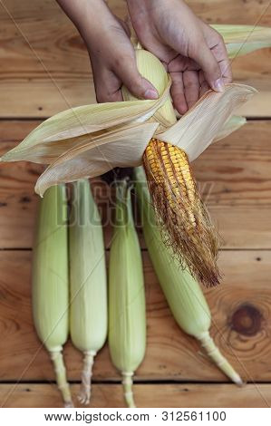 Young Female Cleaning Freshly Picked Raw Corns From Cobs On Wooden Background. Process Of Shucking C