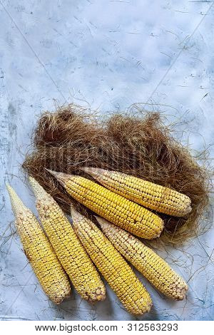 Shucked And Cleaned Sweet Corns On Bright Blue Background. Sweet Corns On Desk.