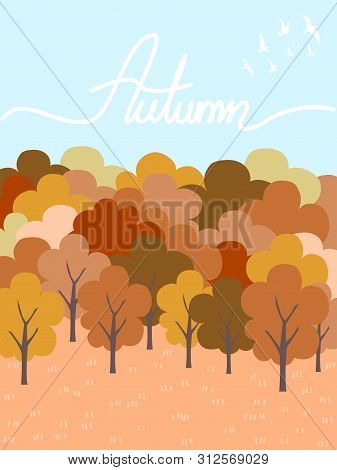 Colorful Tree Amd Clear Sky On Autumn Season.
