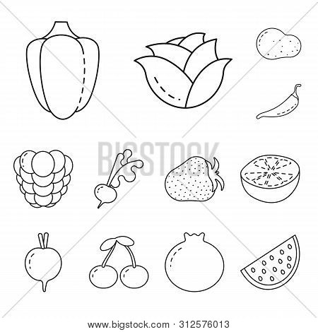 Isolated Object Of Healthy And Ripe Icon. Set Of Healthy And Harvest Stock Vector Illustration.