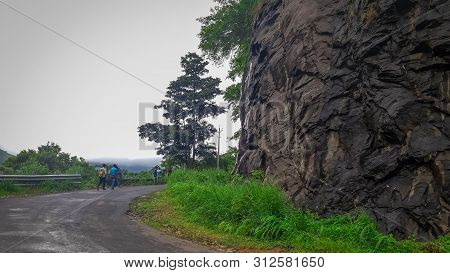 Morning Walk Through Beautiful Vagamon Hills Road