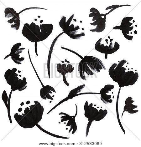 Set Of Ink Drawing Wild Plants,  Monochrome Artistic Botanical Illustration, Isolated Flon White Han