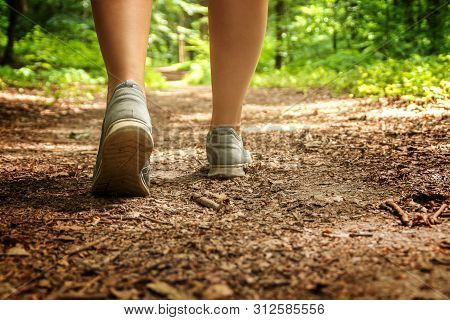 Woman Is Walking Through A Sunny Path In The Woods For Forest Bathing, To Calm Down And Relax
