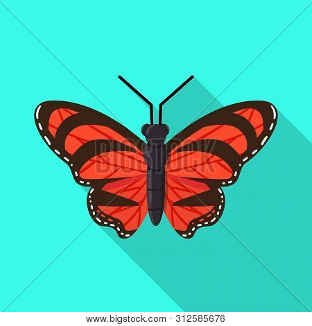 Vector Design Of Butterfly And Beauty Icon. Set Of Butterfly And Wildlife Vector Icon For Stock.