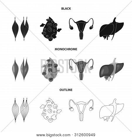 Vector Illustration Of Biology And Scientific Icon. Set Of Biology And Laboratory Vector Icon For St