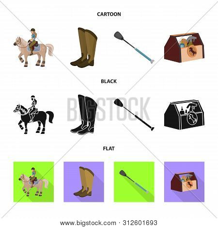 Vector Design Of Equipment And Riding Icon. Set Of Equipment And Competition Stock Vector Illustrati