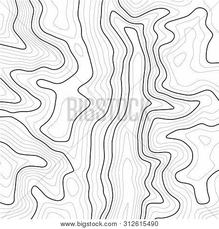 Topographic Map Contour Background. Line Topographic Map Contour Background. Art Design Contour Back