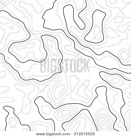 Topographic Map Contour Background. Line Topographic Map Contour Background. Art Design Contour Back