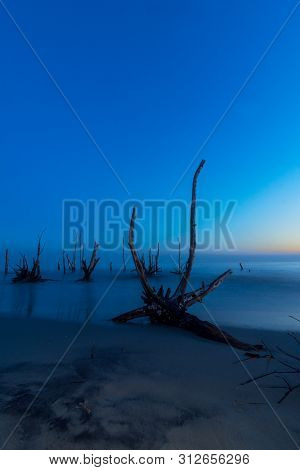 Dramatic Sunset At Beachside With Silhouette Tree Trunk