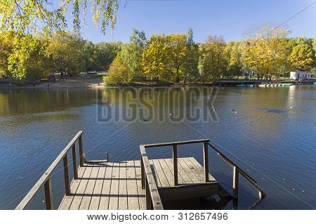 Beautiful Autumn Landscape - Trees With Bright Yellow Autumn Leaves On The Shore Of The Pond. Landsc