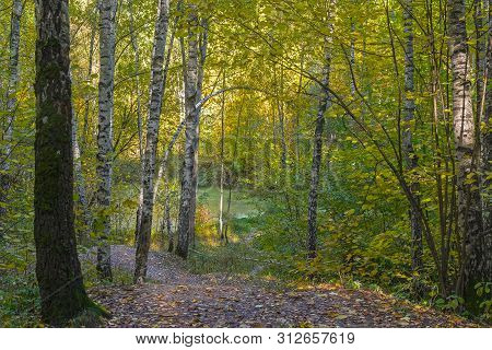 Small Overgrown Lake In The Autumn Forest. Sunny Day In October. Landscape Reserve Teply Stan, Mosco