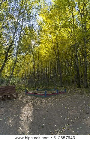 Playground In The Forest Park