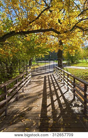 Well-maintained Pedestrian Walkway. Sunny Day In October. Landscape Reserve Teply Stan, Moscow, Russ