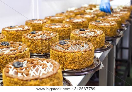 Making Biscuit Cakes With Condensed Milk And Prunes For Confectionery Production. Food Industry, Des