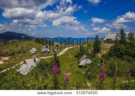 Summer View Big Pasture Plateau (velika Planina) With Flowers Is A Karstified Mountain Plateau In Th