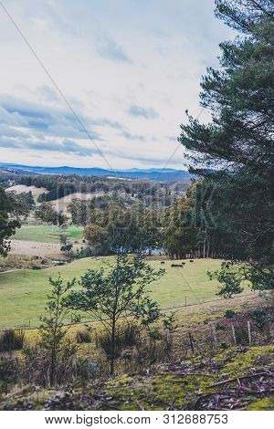 Australian Countryside Landscape In Winter