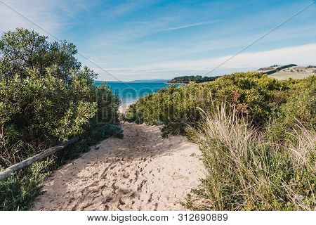 Sunny Australian Beach In Cremorne, Tasmania