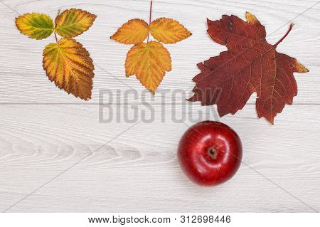 Dry Yellow And Brown Leaves, Red Apple On Gray Wooden Background. An Autumn Still Llife. Top View Wi