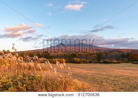 Autumn Foliage Scenery In Kayano-kogen Plateau, Aomori, Japan. Hakkoda Mountains On Background Bathe