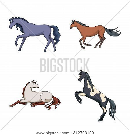 Vector Illustration Of Animal And Stallion Sign. Set Of Animal And Farm Stock Vector Illustration.