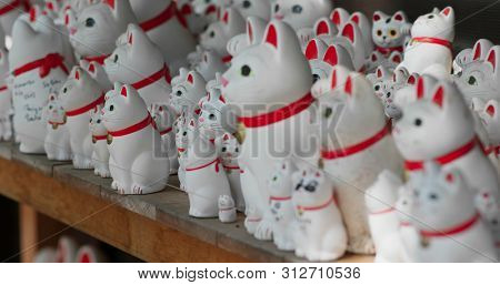 Gotokuji Shrine with lots of cat statues