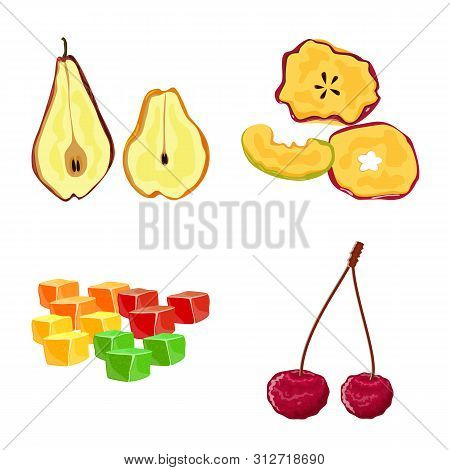 Vector Illustration Of Fruit And Dried Logo. Set Of Fruit And Food Vector Icon For Stock.