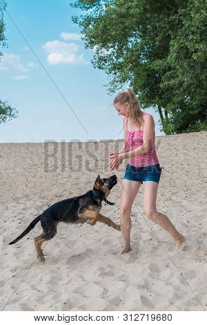 Happy German Shepherd Puppy And Beautiful Blonde Girl Have Fun Running On The Beach And Playing On T