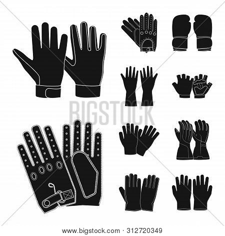Vector Illustration Of Glove And Winter Sign. Set Of Glove And Equipment Stock Vector Illustration.