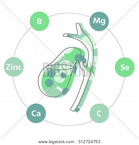 Vitamins And Minerals For Healthy Gallbladder. Micro And Macro Elements And Vitamins: B, C, Ca, Zinc