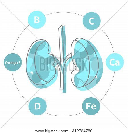 Vitamins And Minerals For Healthy Kidneys. Micro And Macro Elements And Vitamins: C, Fe, D, E, Zinc 