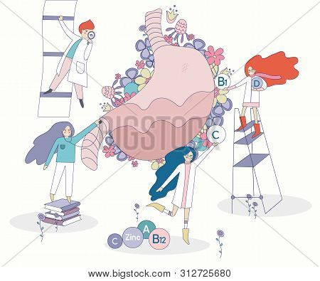 Healthy Stomack Vector With Flowers On The Background. Four Doctors And Nurses Looking For The Right