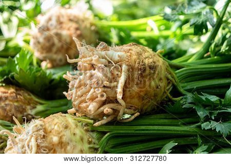 Detail Of A Pille Of Celeriacs With Stalks And Leaves At Farmers Market.