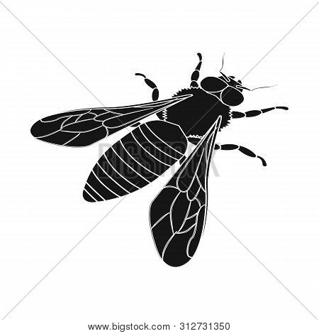 Vector Illustration Of Bumblebee And Wild Logo. Collection Of Bumblebee And Biology Vector Icon For 