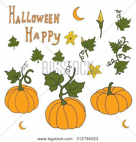 Pumpkin Orange Will Help Create A Mood For The Holiday Of Autumn. Vector Hand Draw  Illustration Set