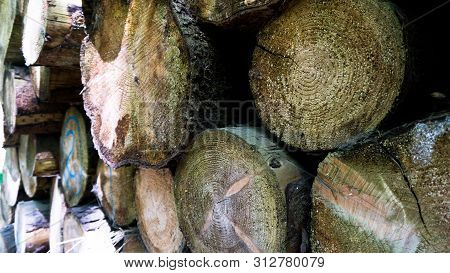 Macro Shot Of A Stack Of Roundwood