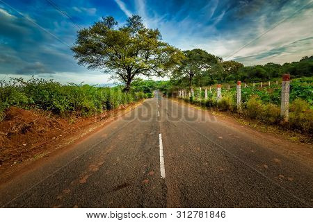 Road With Trees At Both Side- Coimbatore Tamil Nadu India