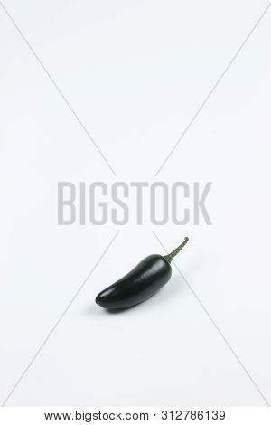 Fresh Jalapeno Maxican Chilli Pepper In Isolated Background