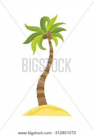 Vector Illustration Palm Tree Isolated On White Background. Coconut Tree. Palm Tree. Tourism, Travel