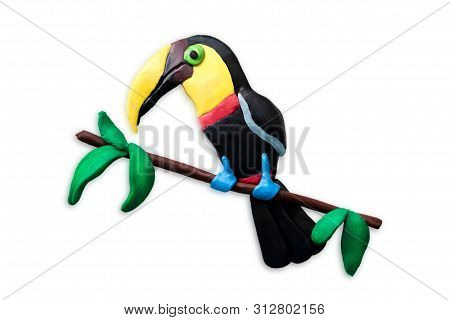 Plasticine Toucan Closeup Isolated On White Background. Tropical Plasticine Bird Molded With His Own