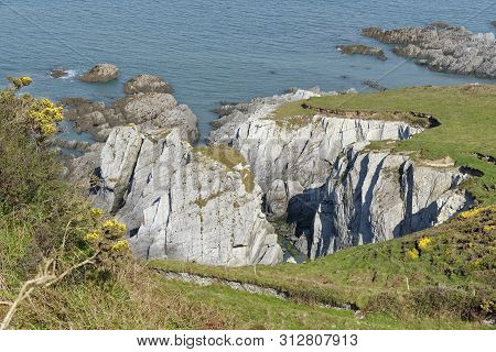 Mort Slate Cliffs At Bull Point, North Devon, Uk