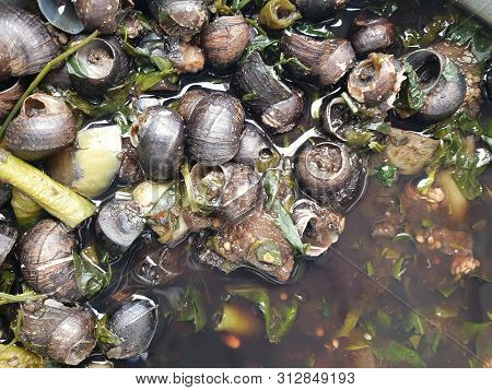 Thai Food Style,top View Of Freshwater Snail In Curry Soup In Bowl, As A Background, Kaeng Hoi Jub I