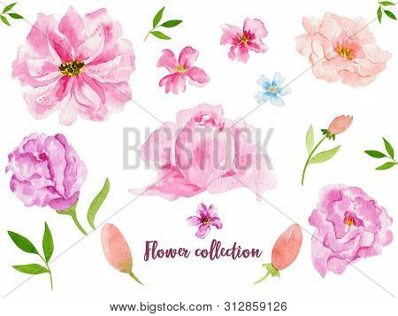Watercolor Floral Items. Watercolour Bohemian Natural Frame: Leaves, Flowers, Isolated On White Back