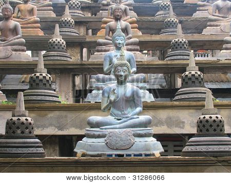 Buddha rows