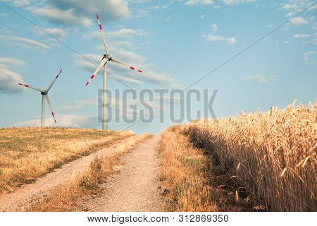 Windmills For Electric Power Production On The Field Of Cereal.