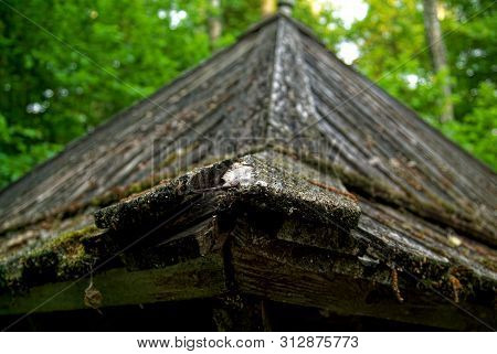 Leaves And Moss On The Edge Of A Wooden Roof , Russia