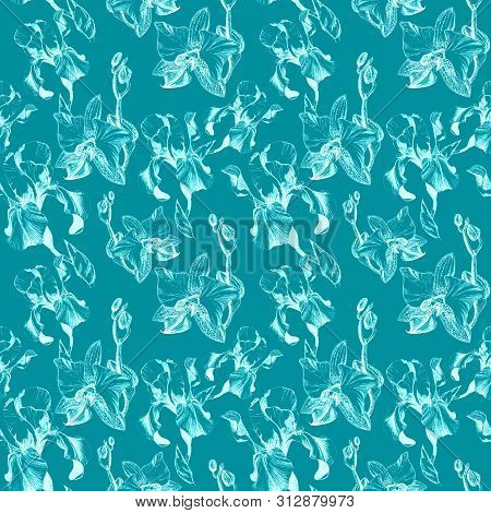 Floral Seamless Pattern With Hand Drawn Ink Iris And Orchid Flowers On Turquoise Background. Flowers