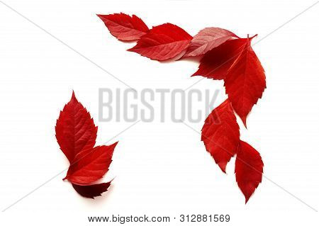 Frame With Autumn Colorful Leaves Isalated On White Background. Top View. Fall Flat Lay With Place F